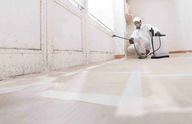 24/7 Emergency Black Mold Remediation experts in Rossville, GA