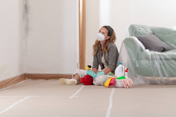 Reliable Black Mold Remediation contractor in Rossville, GA by 24 Hour Mold Removal